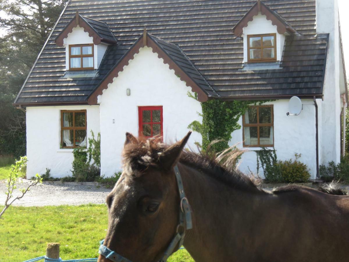 Letterfrack Mountain Farm Cottage On Farm In Village Centre Exterior photo